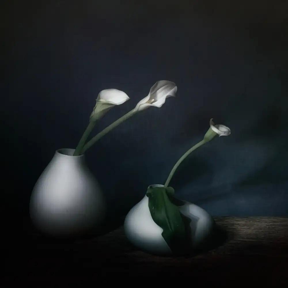 Dingemans, Saskia: Simplicity