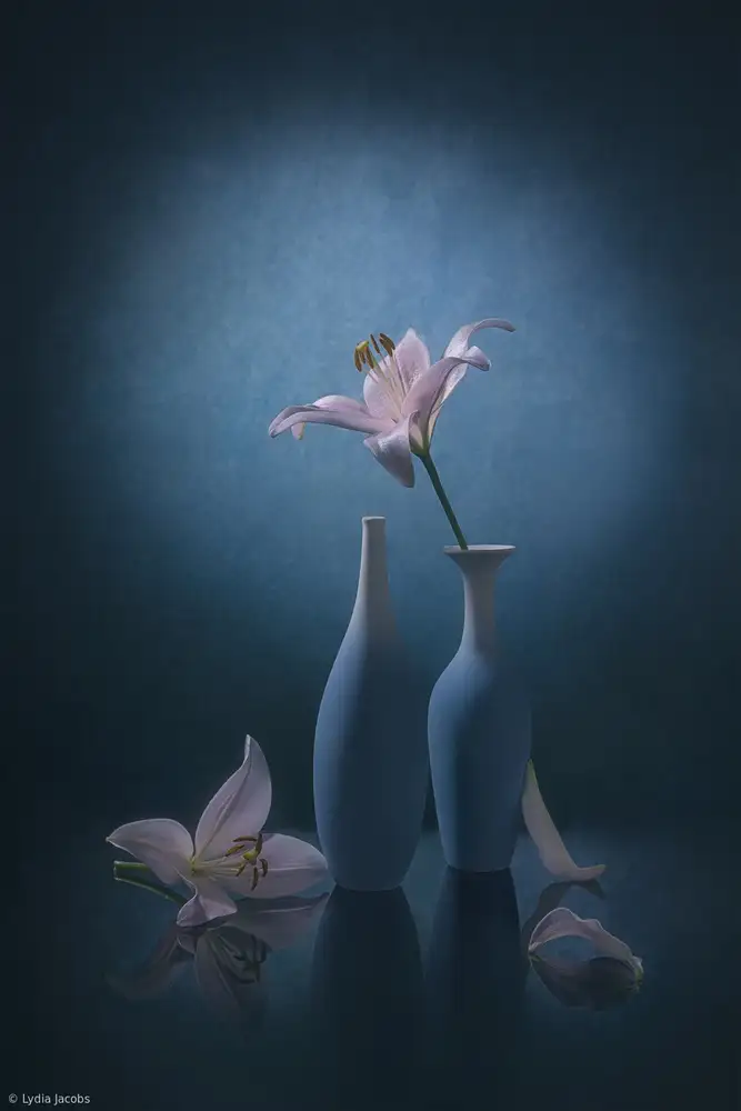 Jacobs, Lydia: Rosa Lilie