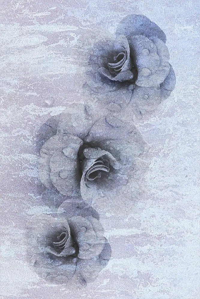 Shumilova, Ludmila: Traces of fading beauty