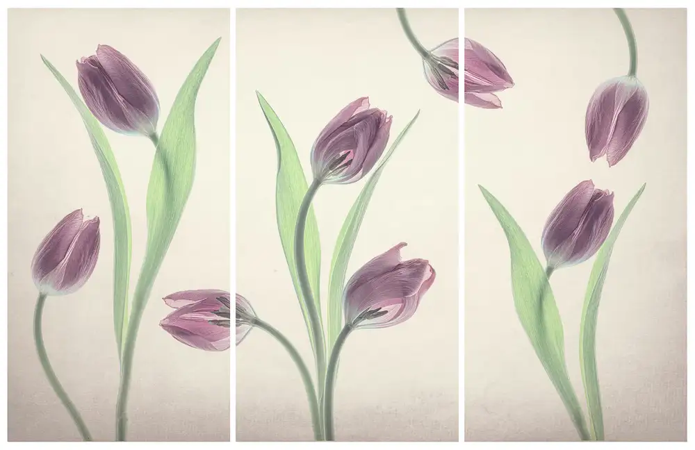 Jacobs, Lydia: Tanzende Tulpen