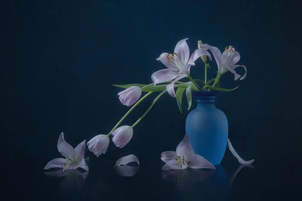 Jacobs, Lydia: Tulipano e giglio