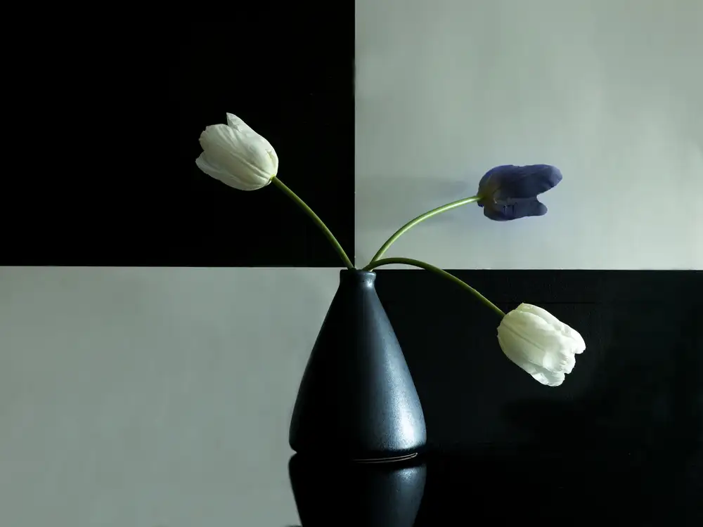 Zhang, Dennis: Tulipani II