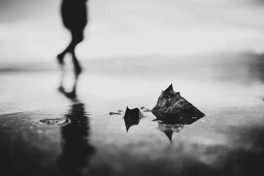 Camlilar, Erkan: autunno 2