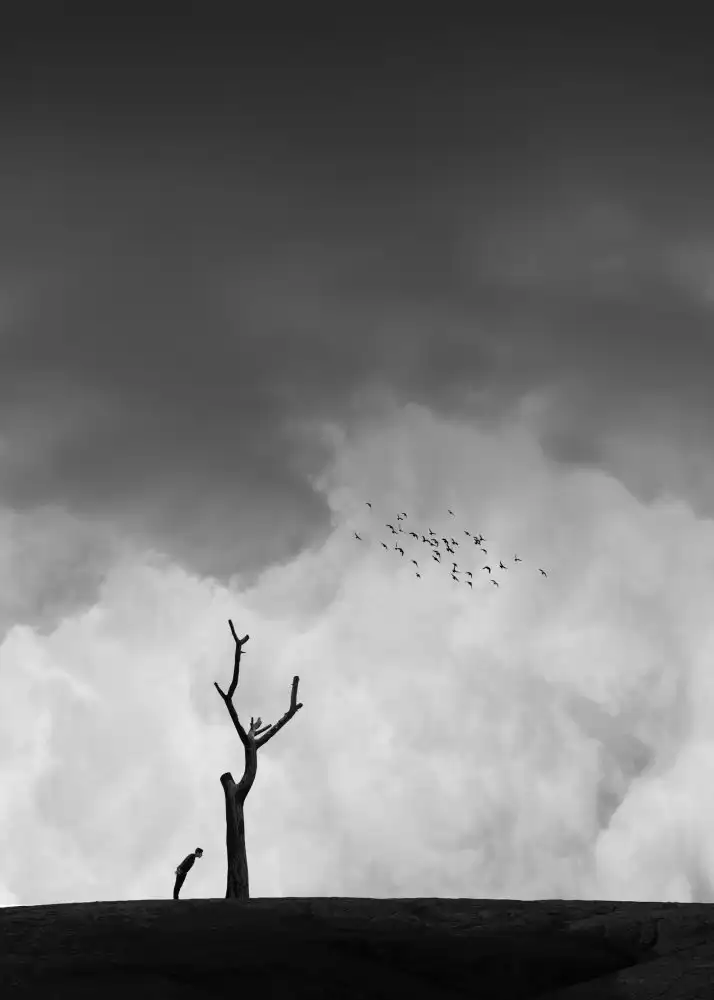 Alizolghadri93: coming back