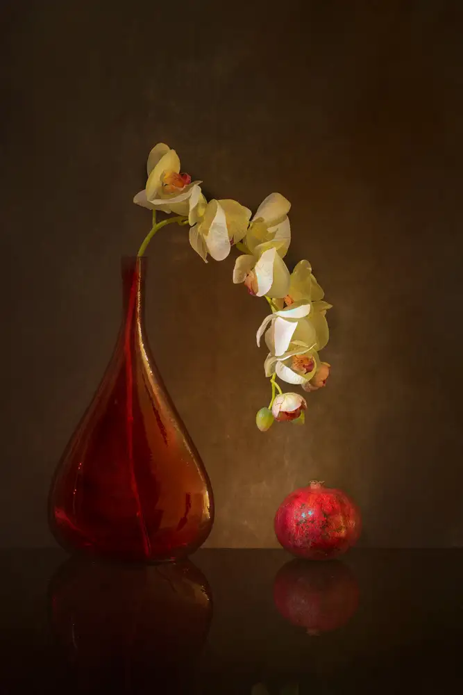 Xu, Wendy: Butterfly Orchid and pomegranate