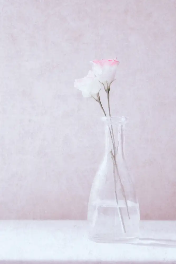 Devos, Delphine: Flowers in Love