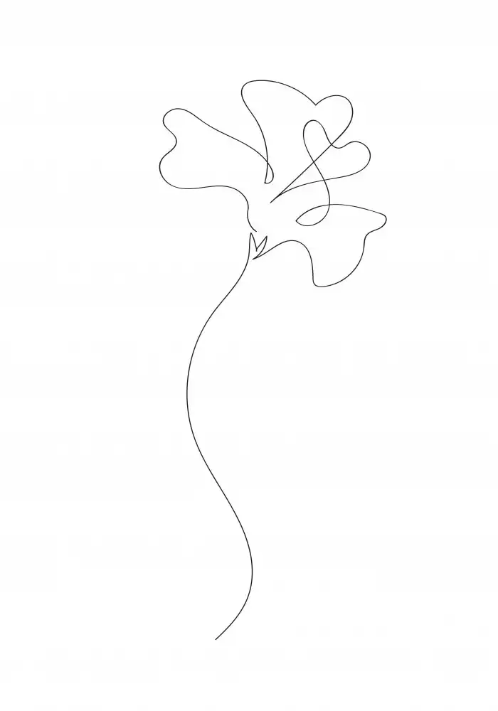 Studio, Pictufy: Flower