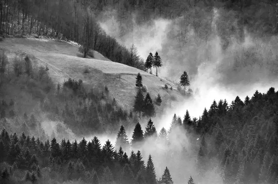 Kravanja, Jure: Where the Fables are born