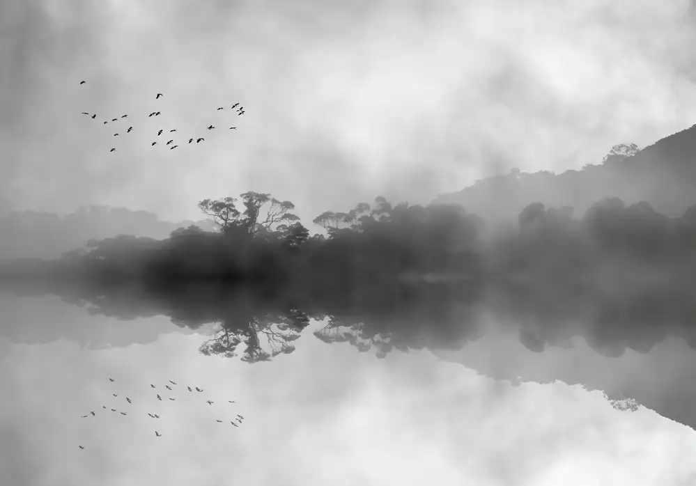 Hammer, Jacqueline: Misty Reflections