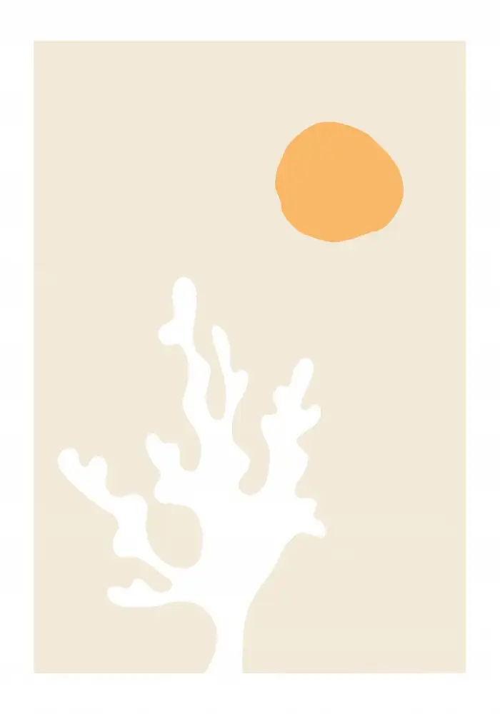 Studio, Pictufy: Algas al sol