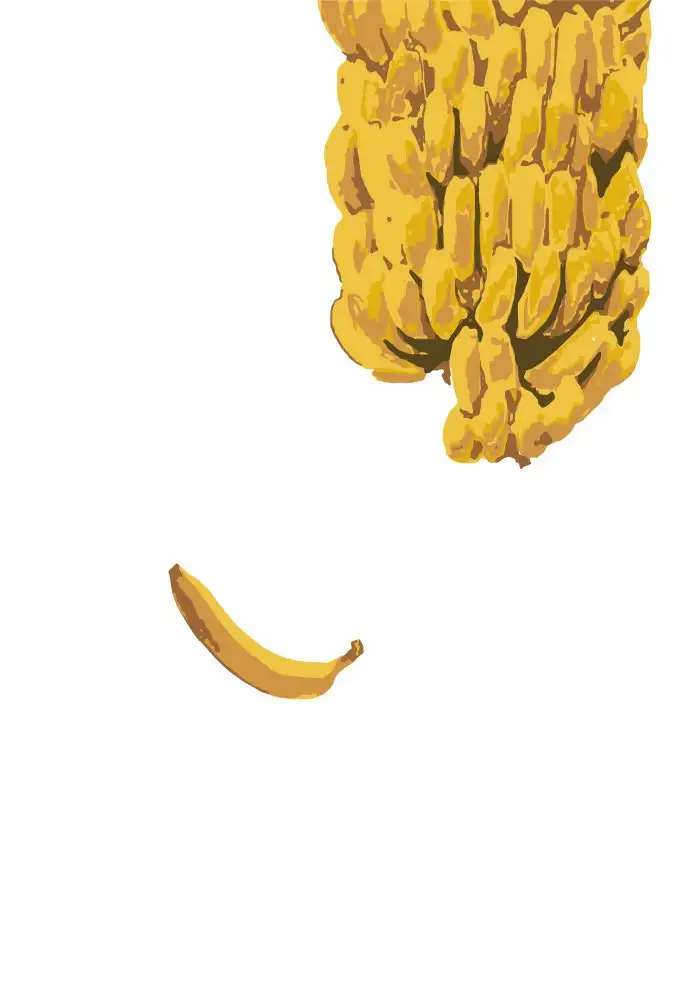 Studio, Pictufy: Banane