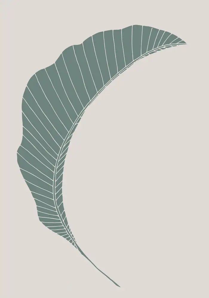 Studio, Pictufy: Feuille De Bananier Vert