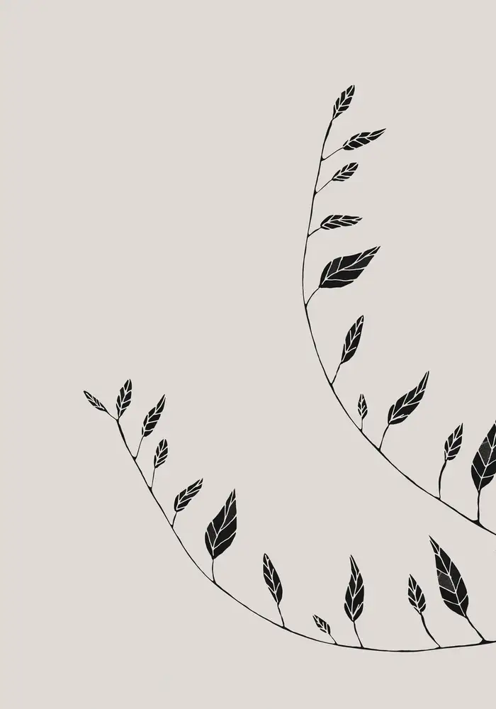 Studio, Pictufy: Branches ondulées
