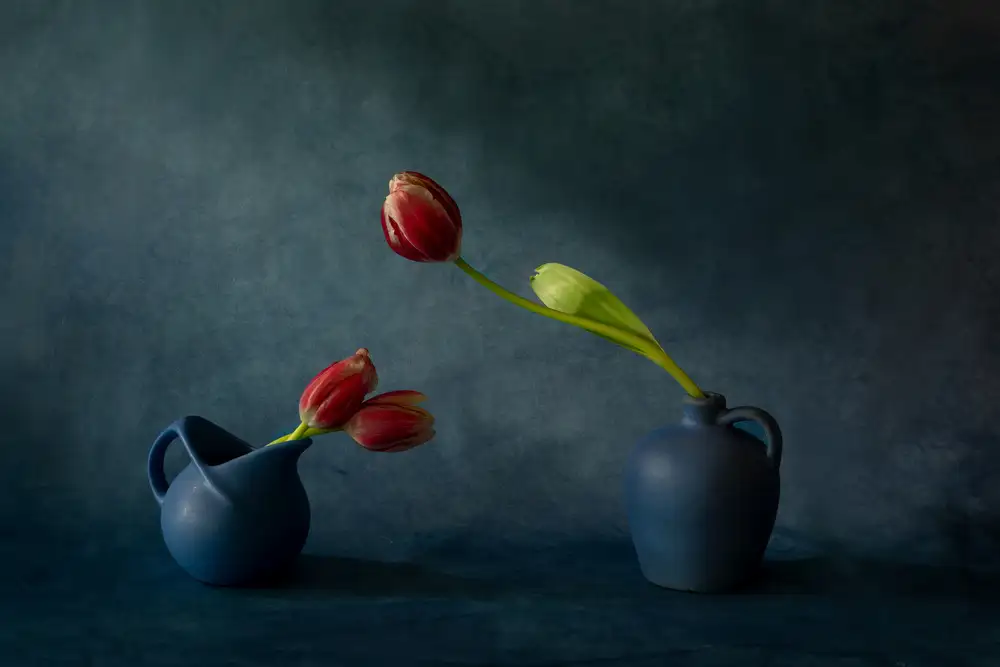 Zhang, Dennis: Tulipani e vasi