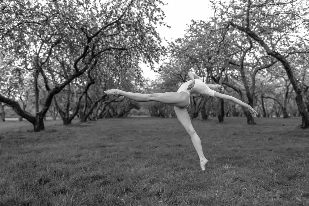 Yakovlev, Alexander: Dancer in the park