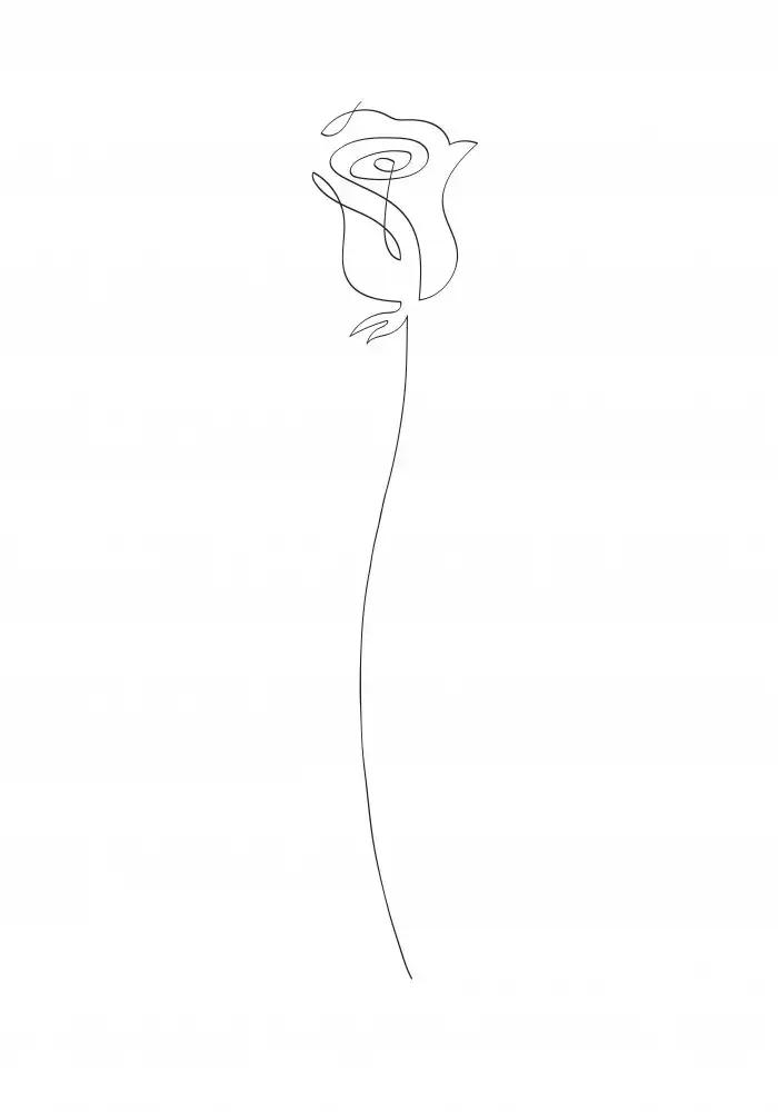 Studio, Pictufy: Rose