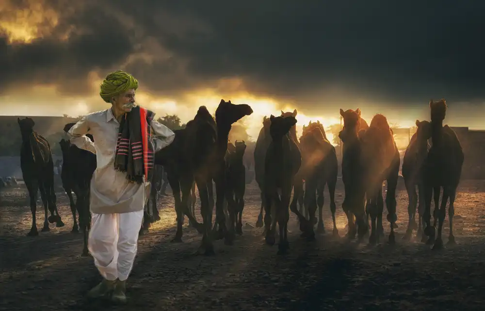 Jabeen, Rana: Light Stories