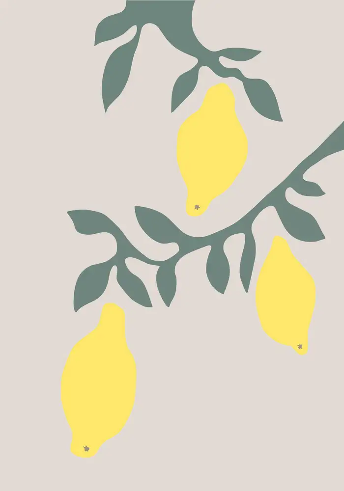 Studio, Pictufy: Citrons