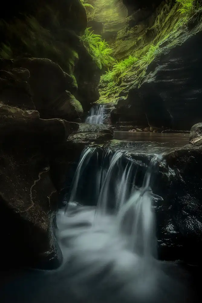 Zhang, Yan: Inside the Canyon