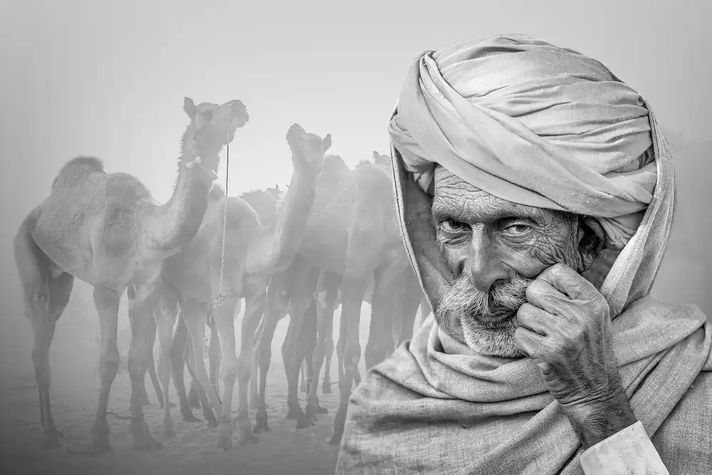 Sirohiya, Saurabh: The Pride Of Pushkar