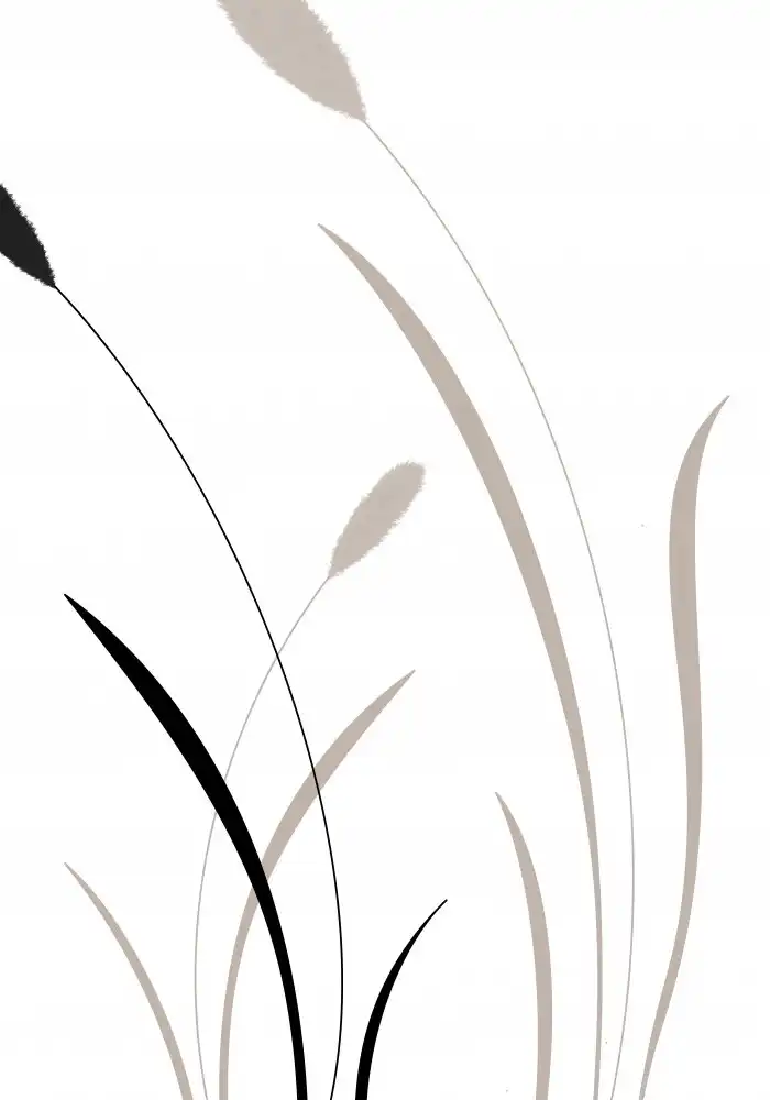 Studio, Pictufy: Bunny Grass 02