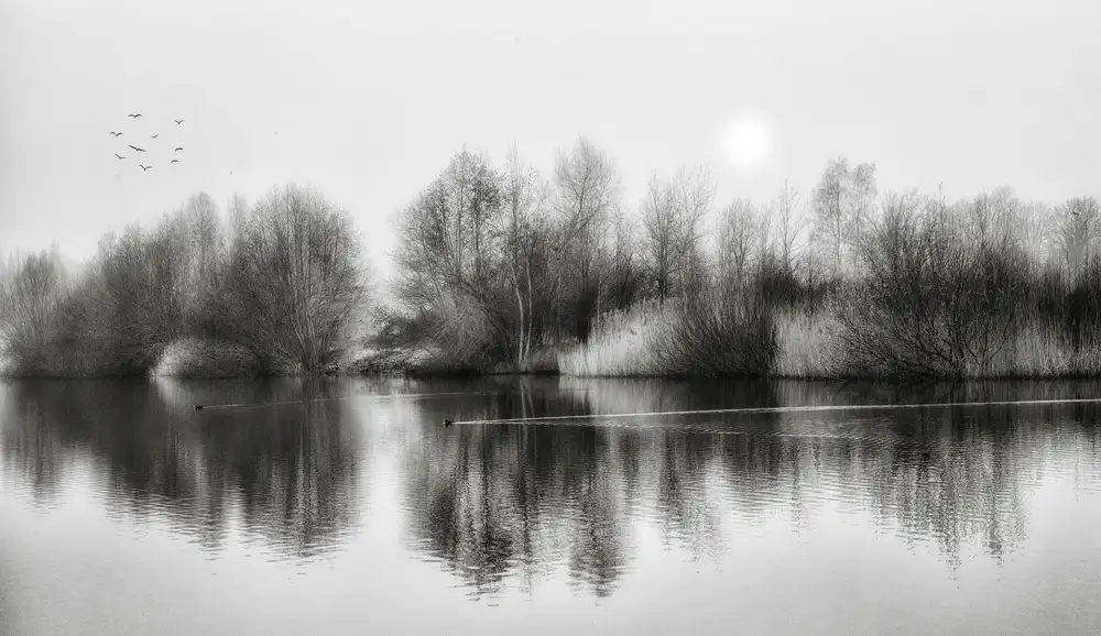 Yvette,,,, Depaepe,,,,: Spring is in the air ...