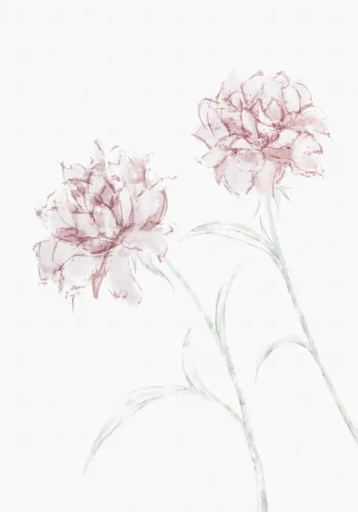Studio, Pictufy: Peony 03