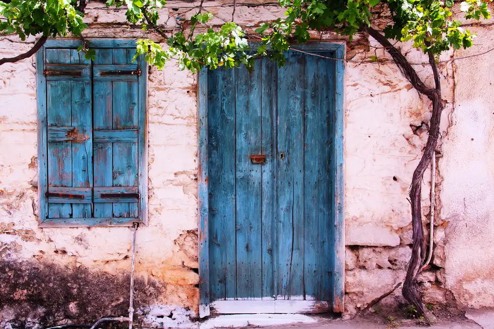 Shrayer, Igor: Forsaken House II