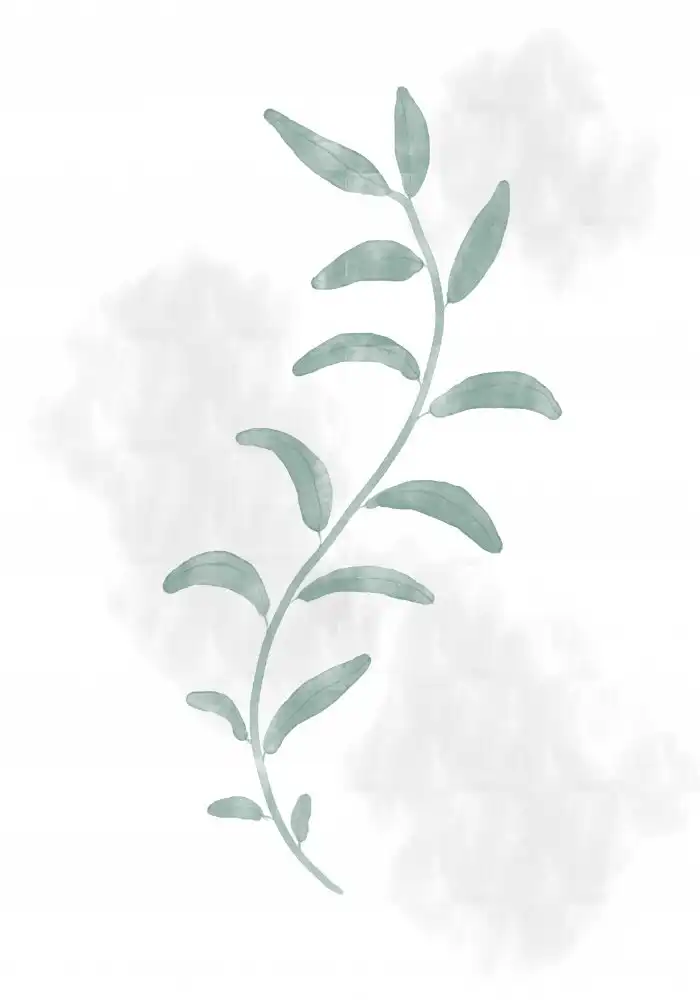 Studio, Pictufy: Jazzy Leaves
