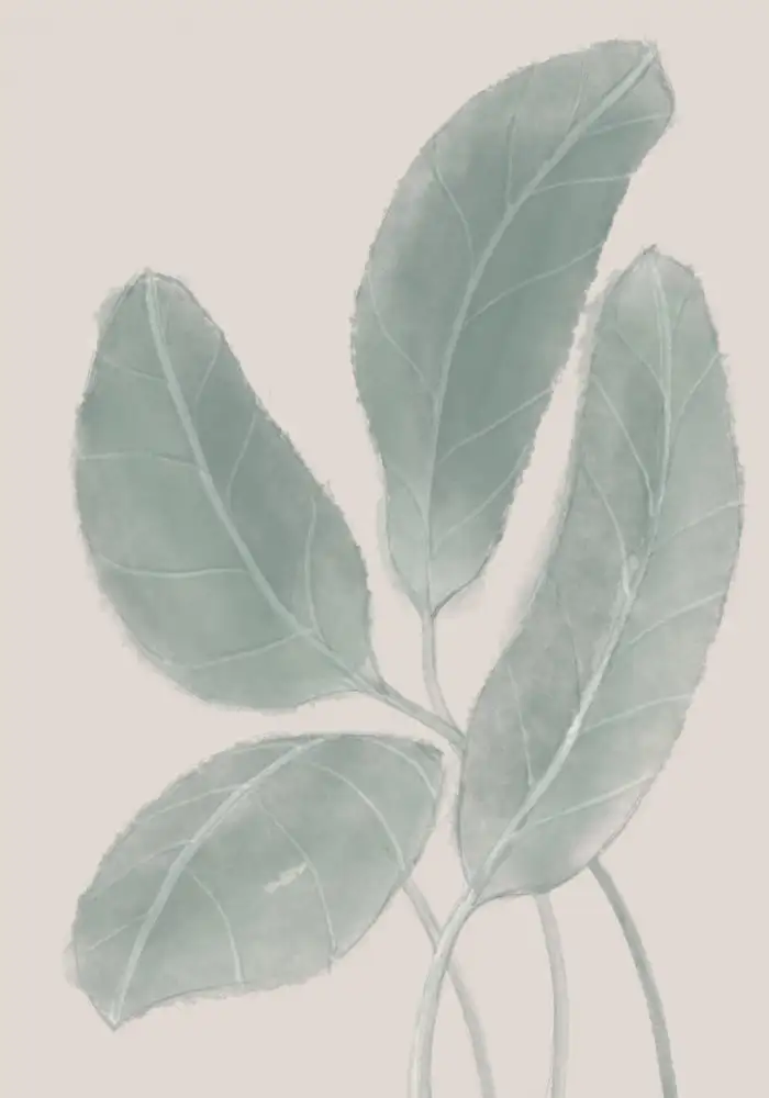 Studio, Pictufy: Blätter Aquarell
