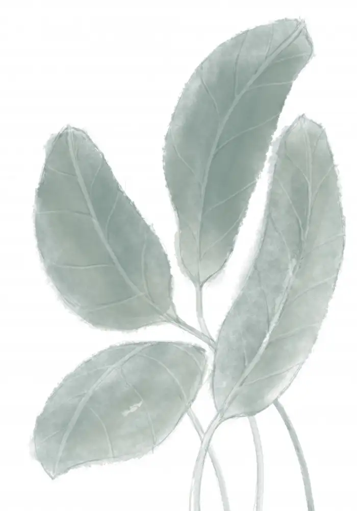 Studio, Pictufy: Feuilles Aquarelle 02