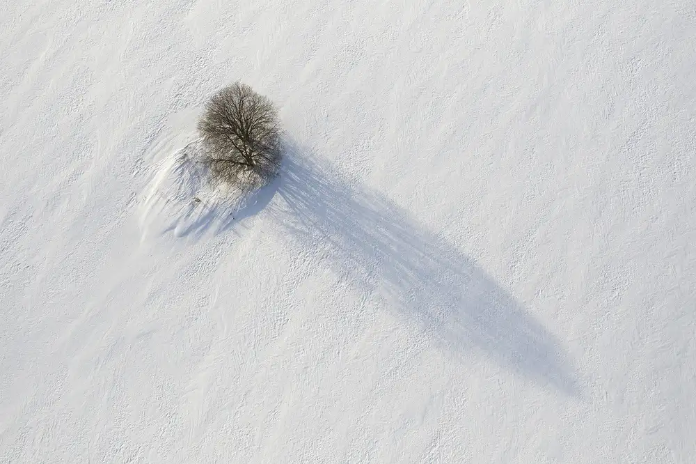 Doronin, Dmitry: Alone in the field
