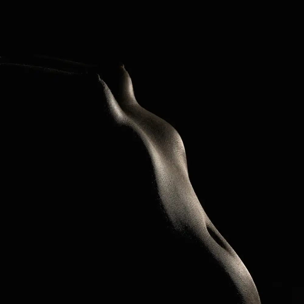 Firešová, Michaela: Curves