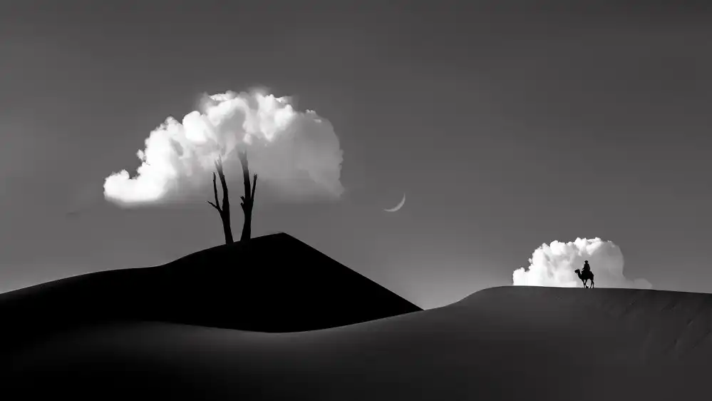 Woo, Shin Ryu: Desert Hills