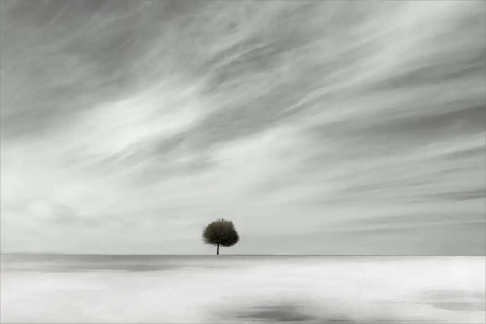 Claes, Gilbert: separare