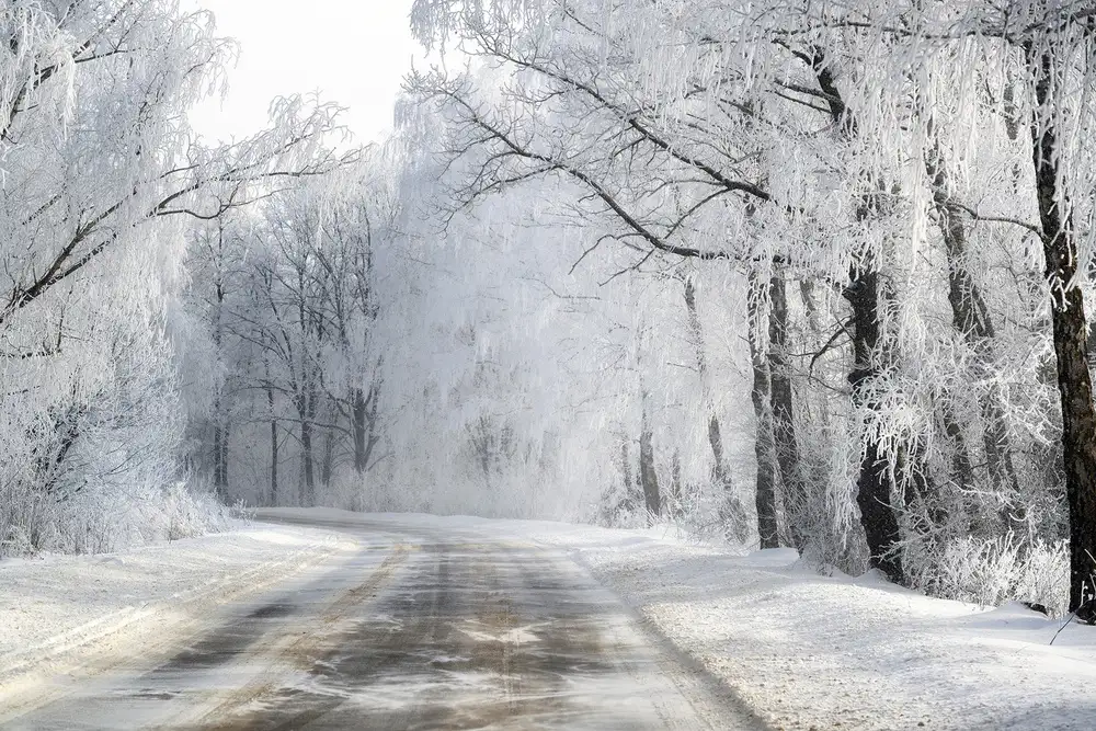 Doronin, Dmitry: Winter road