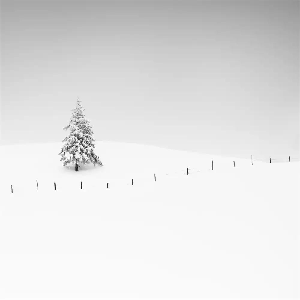 Schulz, Alexej: Placeholder