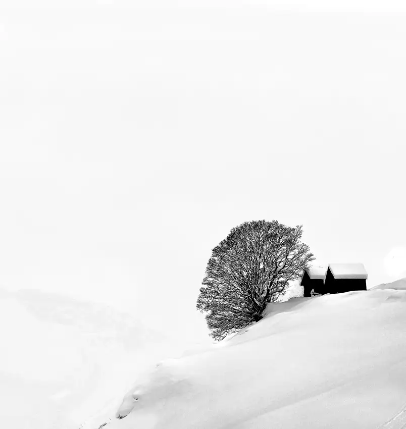 dem, Auf Andrea: Beyond the Nothingness
