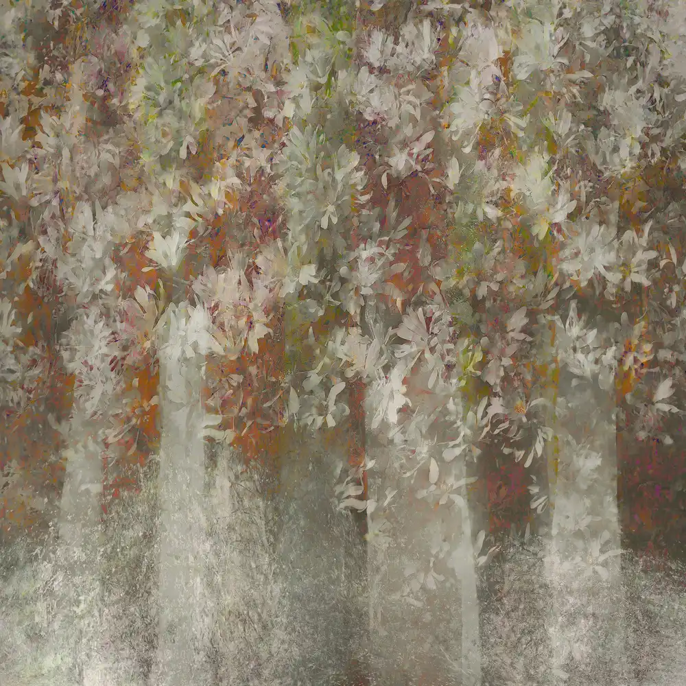 Talen, Nel: Magnolia