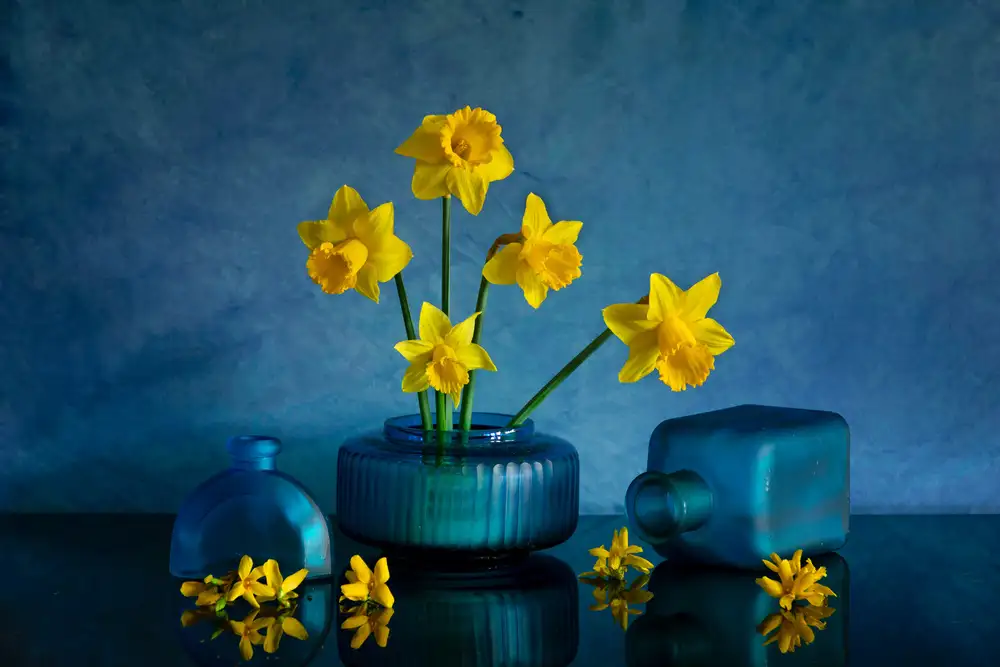 Xu, Wendy: Yellow Daffodil