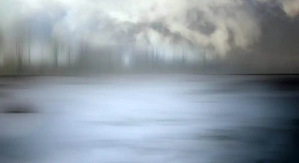 Claes, Gilbert: Foresta nebbiosa