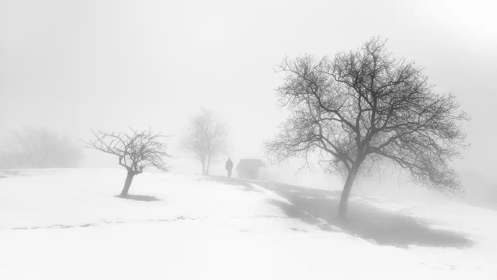 Moretti, Claudio: A melancholy foggy day.