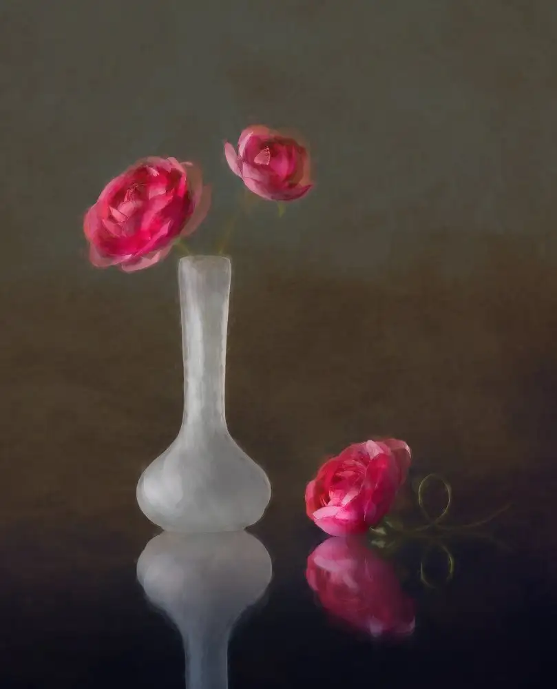 Wan, Anna: Pink Ranunculus