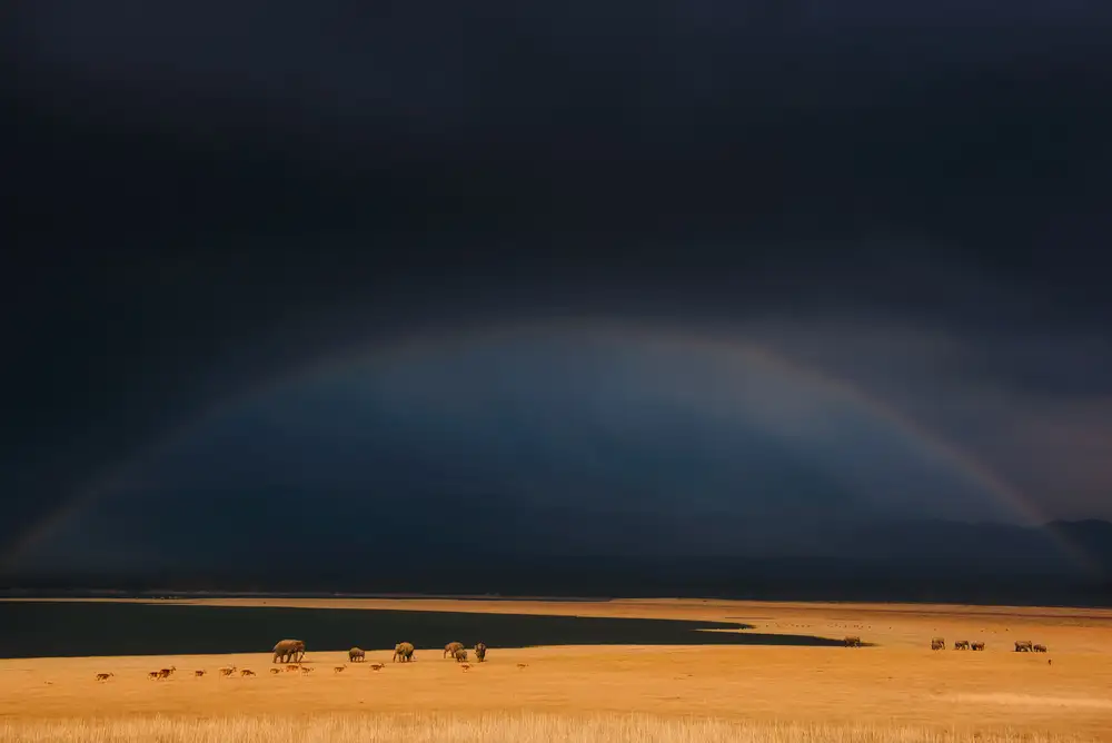 Swapnil: stati d'animo oscuri