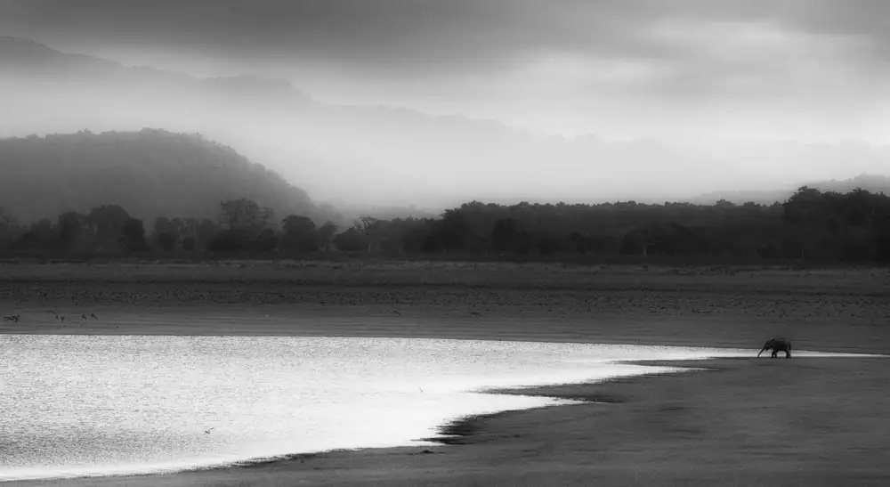 Swapnil: lonely
