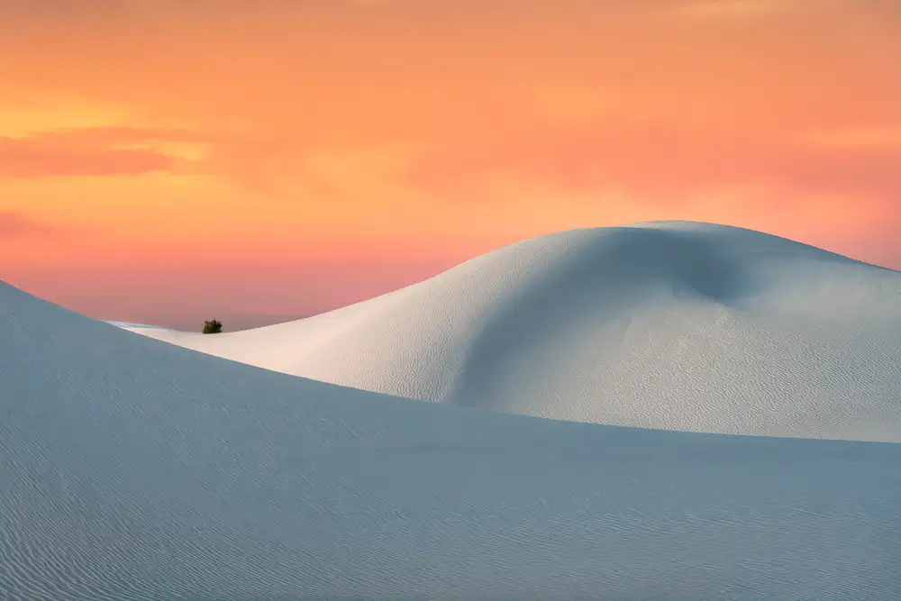 Ning, Aidong: White Sands