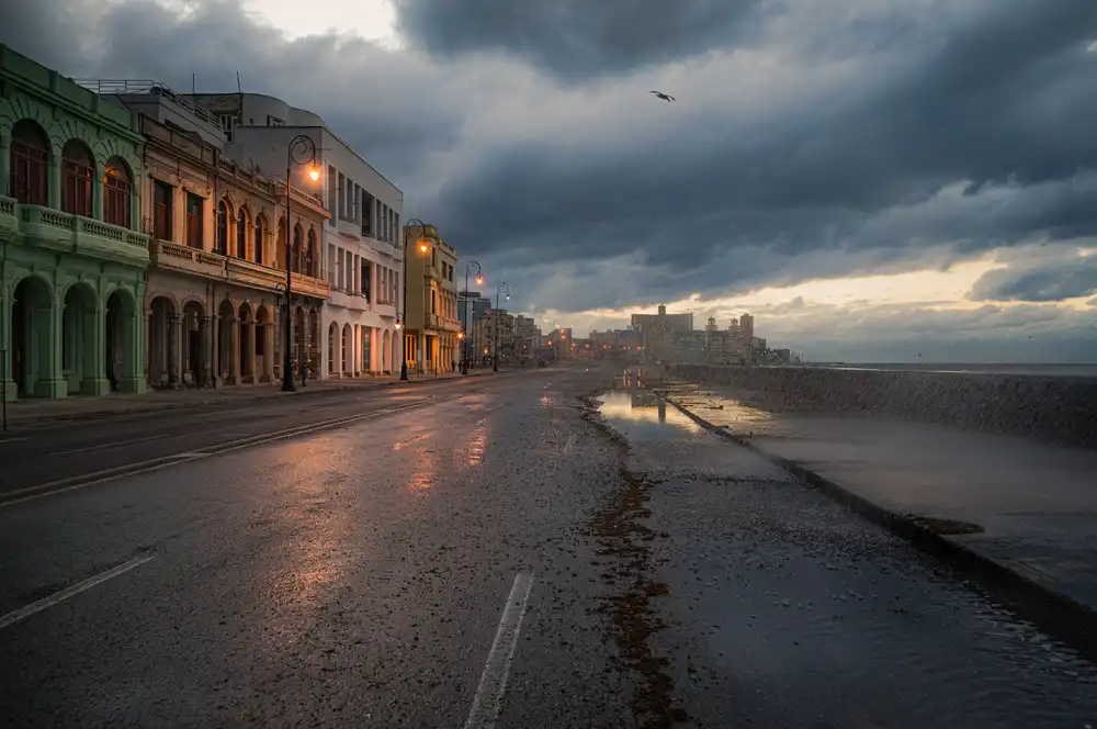 Tagliarino, Marco: Winter Malecon