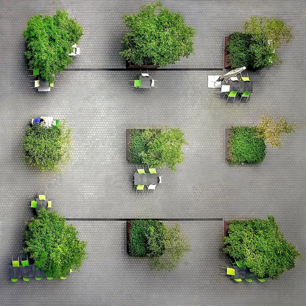 Rückert, Stephan: Terrazza