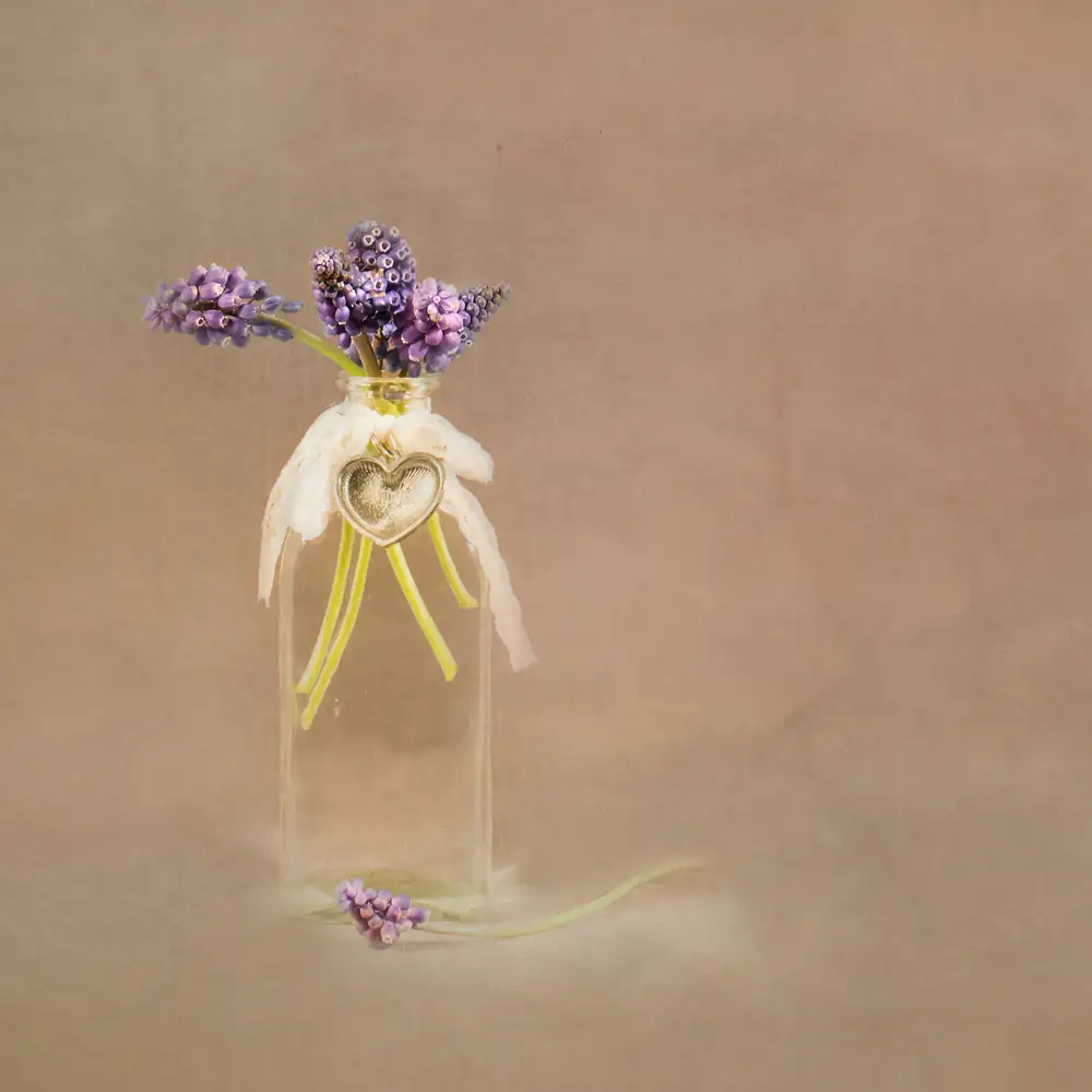 Delaet, Monique: Fiori di primavera