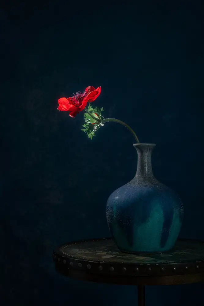 Jacobs, Lydia: Roter Mohn